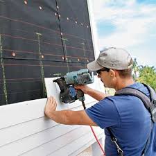 Best Siding Painting and Refinishing  in Woodbine, IA